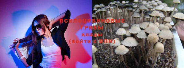 дмт Кулебаки