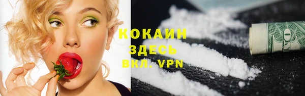 дмт Кулебаки