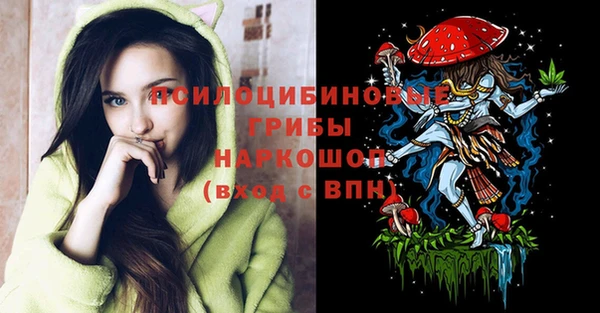 дмт Кулебаки