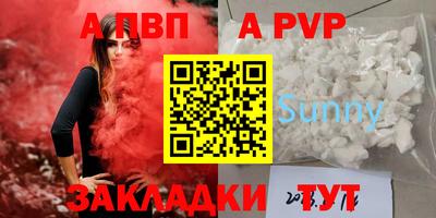 бошки Кингисепп