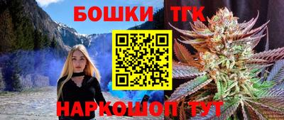 бошки Кингисепп