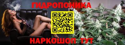 гидропоника Азнакаево