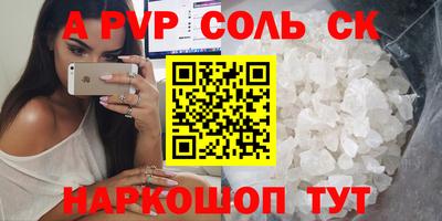 бошки Кингисепп