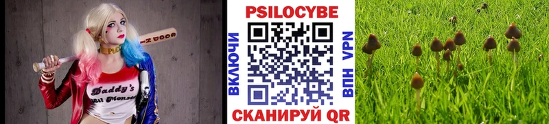 Галлюциногенные грибы MAGIC MUSHROOMS  Нижнеудинск 
