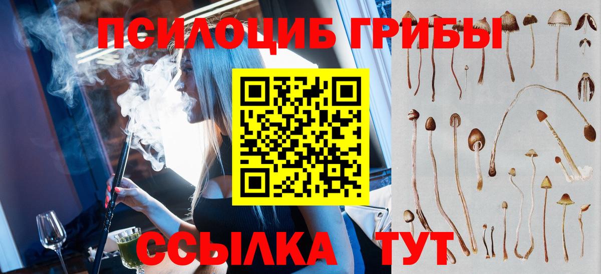 Нижнеудинск  Галлюциногенные грибы Psilocybine cubensis  купить наркоту  Вход с VPN 
